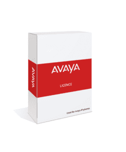 Avaya 171987-License